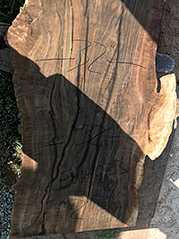 English Walnut
